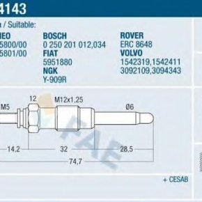 Candeletta  Beru Landrover Rangerover 2,4 TDS