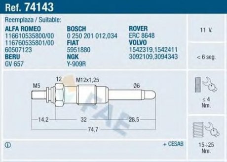 Candeletta  Beru Landrover Rangerover 2,4 TDS